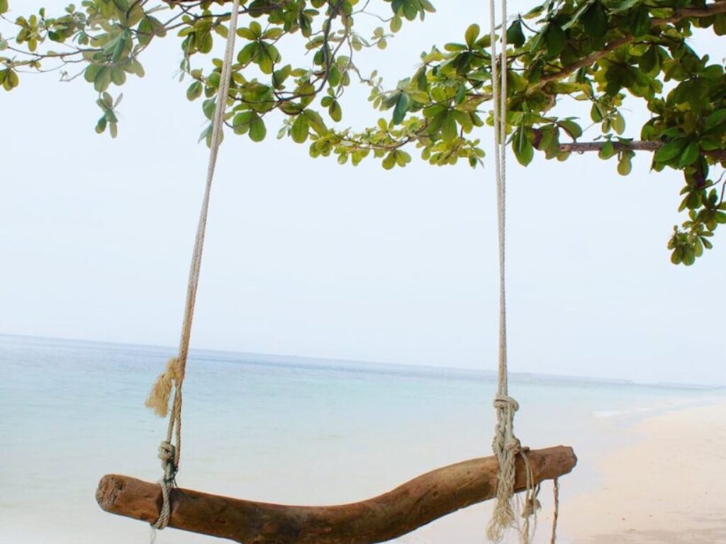 brown swing bench made out of tree trunk near the seashore