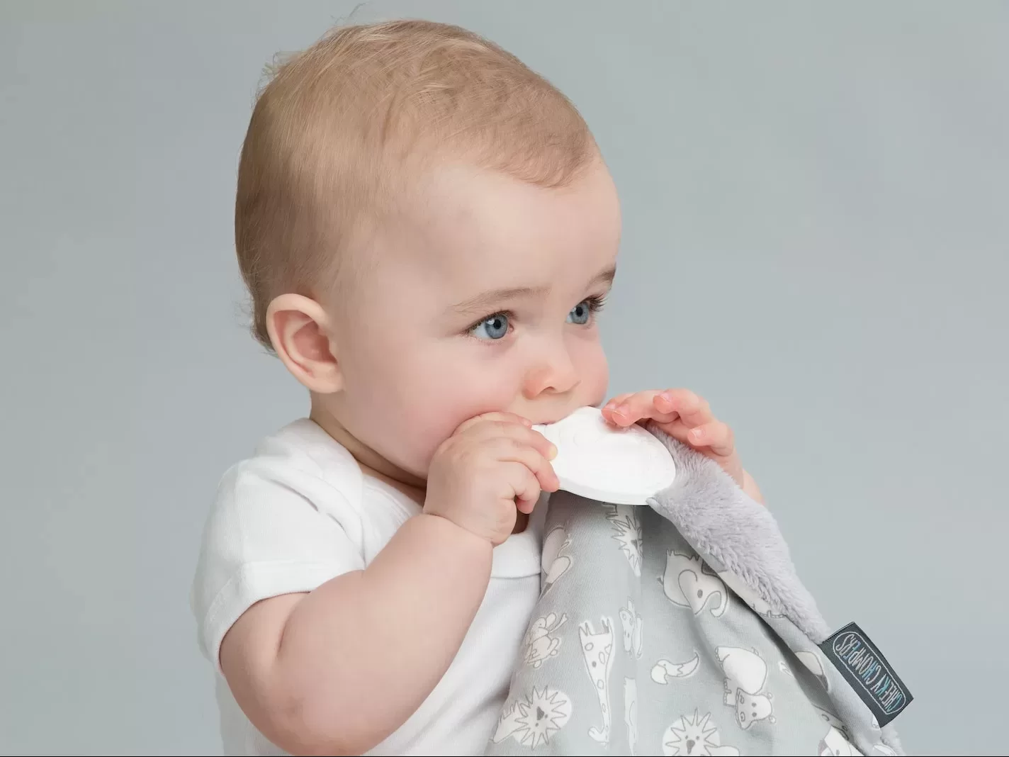a baby is holding a napkin in his mouth