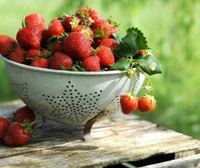 a white colander filled with lots of ripe strawberries