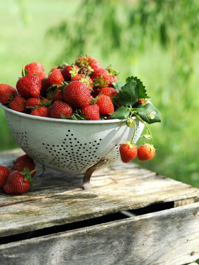 a white colander filled with lots of ripe strawberries