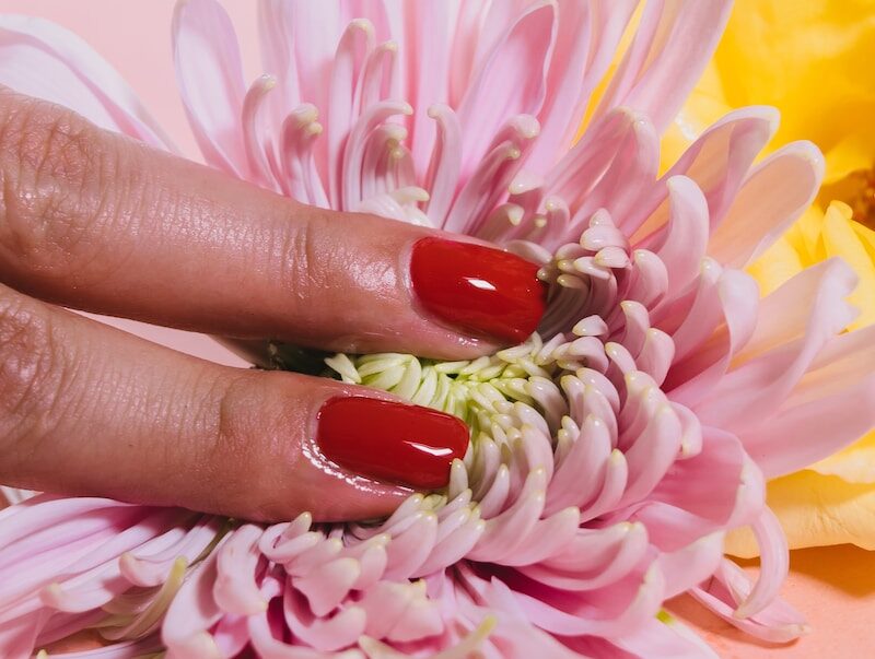 person pressing a chrysanthemum flower on pink surface