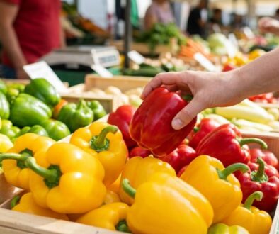 e-i-d-laj-p-i-n-kupu-paprik-jednu-chybu-po-d-do-featured