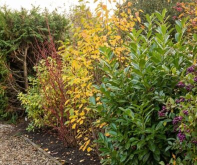 e-i-ru-t-je-pod-l-plotu-nahrazuj-je-ke-e-kte-featured