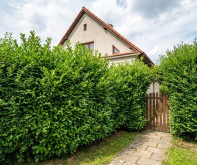 e-i-st-le-ast-ji-nahrazuj-klasick-ploty-iv-m-featured