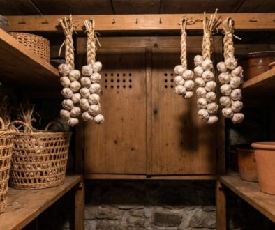 e-i-za-ali-m-nit-zp-sob-jak-uchov-vaj-esnek-s-featured