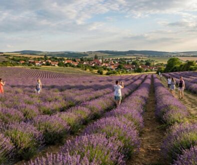 kam-se-hrabe-provence-tohle-esk-m-ste-ko-m-lev-featured