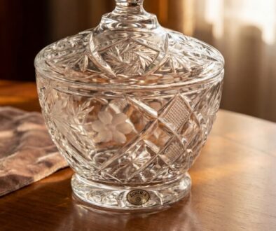 kdo-m-doma-d-zu-s-brou-en-m-v-kem-mo-n-ji-pou-featured