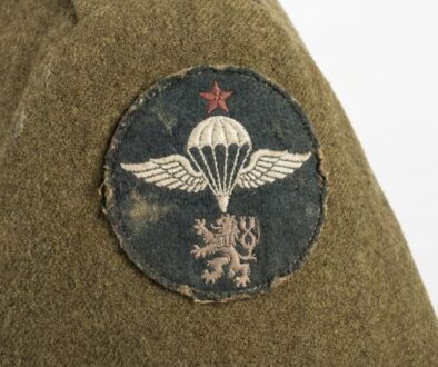 kdo-m-doma-tuhle-starou-n-ivku-z-vojny-a-ji-ne-featured