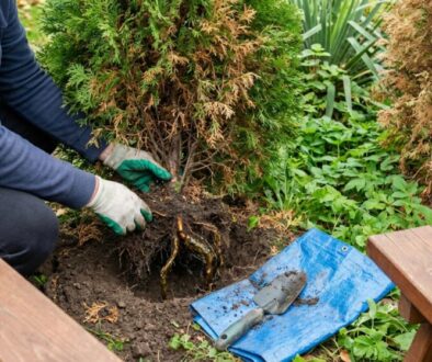 kdo-m-na-zahrad-tenhle-strom-m-l-by-ho-zkontrol-featured