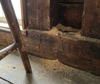 tesa-ka-nen-jedin-probl-m-tenhle-nen-padn-brou-featured