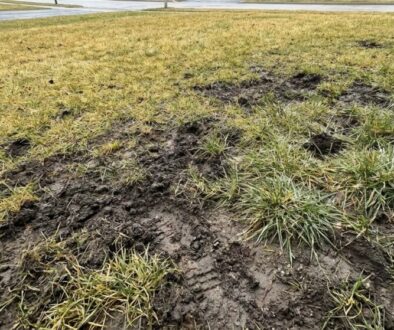 tr-vn-k-po-zim-vypad-b-dn-jedna-b-n-chyba-ho-featured