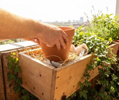 zahr-dk-i-objevili-jednoduch-trik-jak-omezit-p-featured