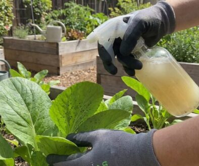 zapome-te-na-post-iky-z-hobby-marketu-tato-dom-c-featured