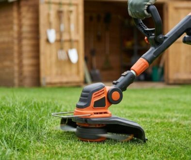 zapome-te-na-seka-ku-na-tr-vu-tato-elektrick-kos-featured