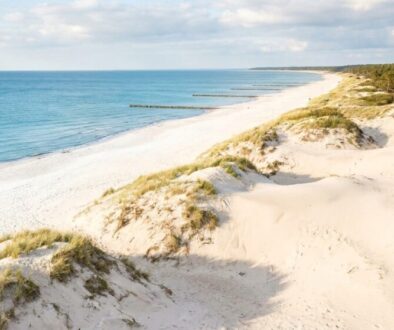 Bright sandy dunes with tufts of grass along a calm blue sea and a distant forest line along the coast.