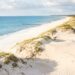 Bright sandy dunes with tufts of grass along a calm blue sea and a distant forest line along the coast.