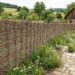 Woven wooden fence along a stone garden path with blooming flowers, leading to a rustic wooden house in the countryside.