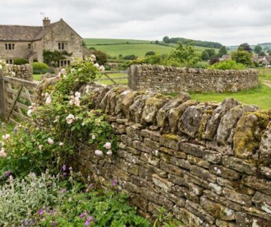 Stone dry-stone wall with flowering roses and herbs in a cottage garden; dirt path winding beyond into rolling countryside.