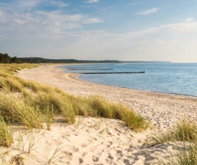 Sandy beach with tall dune grasses, calm blue sea, and a wooden breakwater extending into the water.