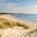 Sandy beach with tall dune grasses, calm blue sea, and a wooden breakwater extending into the water.