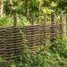 Woven wooden fence along a sunlit forest path, with plants growing at its base and in the background greenery.