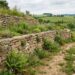 Stone tiered dry-stone wall with flowering plants along a dirt path in a rural hills landscape.