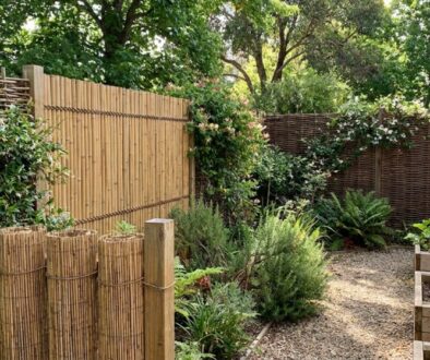 Backyard garden with wooden privacy fences, raised planter boxes, and a gravel path lined by assorted shrubs and herbs.