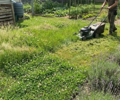 Person pushes a lawn mower through a lush garden with lavender, grasses, and flowering plants edging a fence.