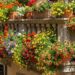 Colorful flower-filled balcony railing with potted plants and hanging baskets along a stone balustrade in bright sunlight.