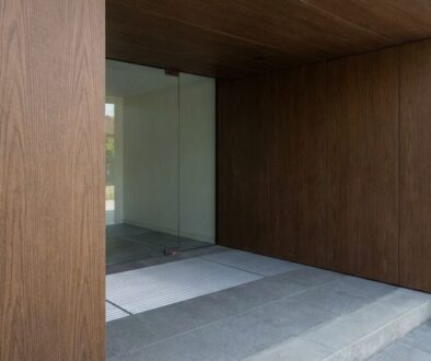 ani-roho-ka-ani-dla-ba-p-ed-vchody-se-objevuje-n-featured