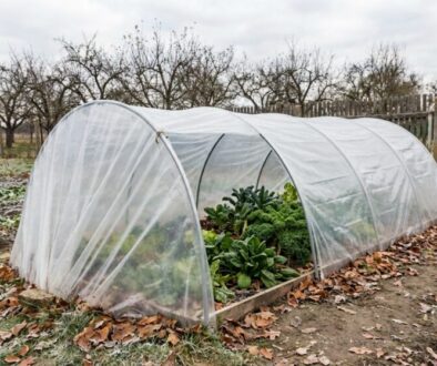 ani-sklen-k-ani-pa-eni-t-na-esk-zahrady-m-featured