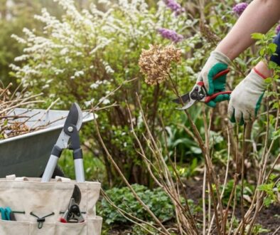 duben-je-ide-ln-m-s-c-na-pravu-ke-na-va-zahr-featured