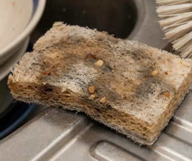 Used kitchen sponge with visible debris on its porous surface resting on a stainless steel sink, with a dish brush nearby.