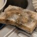 Used kitchen sponge with visible debris on its porous surface resting on a stainless steel sink, with a dish brush nearby.