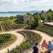 Terraced vineyard with a modern building and a lakeside view, where a group shares a meal on a patio.