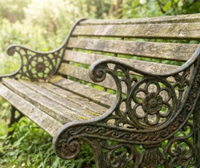 Weathered wooden park bench with ornate wrought-iron sides in a green garden setting.