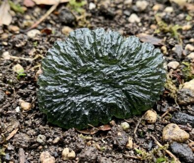 kdo-najde-na-zahrad-tento-konkr-tn-k-men-m-e-m-featured