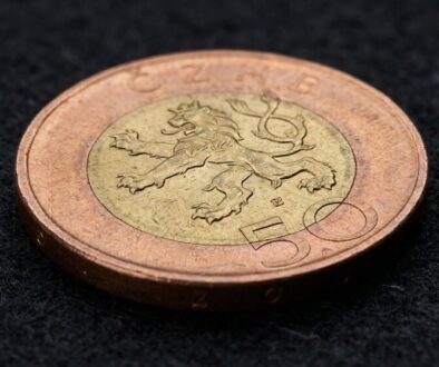Close-up of a two-tone 50-cent euro coin featuring a lion on a dark textured surface.