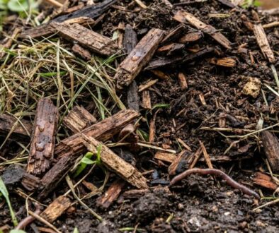 Close-up of moist soil and wood mulch with a brown worm wriggling on the surface.