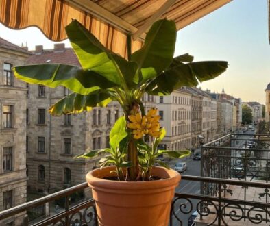 kr-sn-lut-ban-ny-si-zvl-dnete-vyp-stovat-i-na-v-featured-1