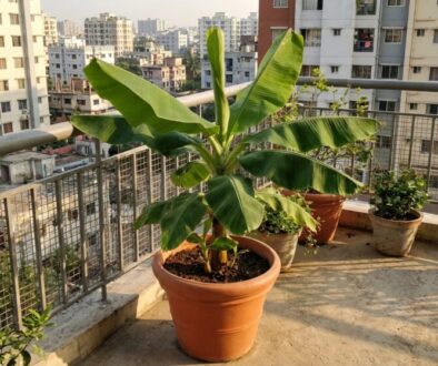 kr-sn-lut-ban-ny-si-zvl-dnete-vyp-stovat-i-na-v-featured