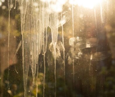 Sunlit glass window with vertical condensation streaks and a blurred garden background behind it.