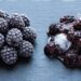 Piled frosted blackberries on a blue slate, with a light powdery frost coating each berry.