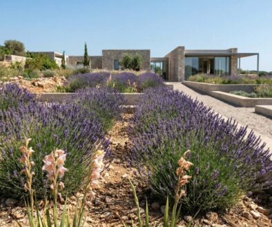Modern stone house with a lavender garden and gravel paths under a clear blue sky.