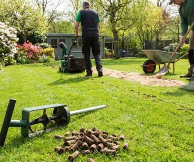 People gardening in a backyard with a soil aerator, rake, wheelbarrow, and a pile of soil cores on the lawn.