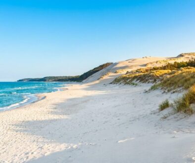 Sunny sandy beach with dunes and tufts of grass, calm blue sea on the left, under a clear sky.