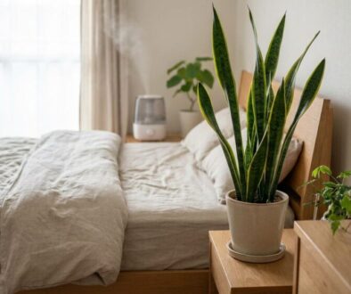 Sunlit bedroom with a wooden bed, beige linen bedding, and two potted plants on the nightstand: a tall snake plant and a smaller plant on the dresser nearby.