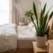 Sunlit bedroom with a wooden bed, beige linen bedding, and two potted plants on the nightstand: a tall snake plant and a smaller plant on the dresser nearby.