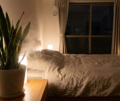 Dimly lit bedroom at night with a snake plant on a wooden nightstand beside a bed.