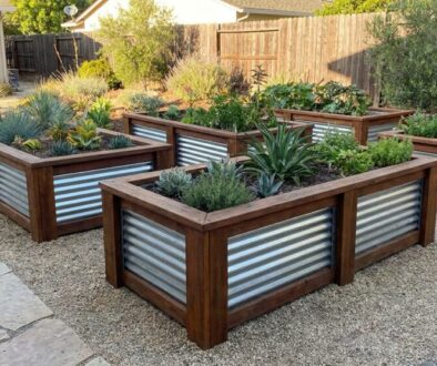 Raised wooden planters with corrugated metal sides filled with succulents and drought-tolerant plants in a gravel backyard. They form a tidy garden grid around a stone path.